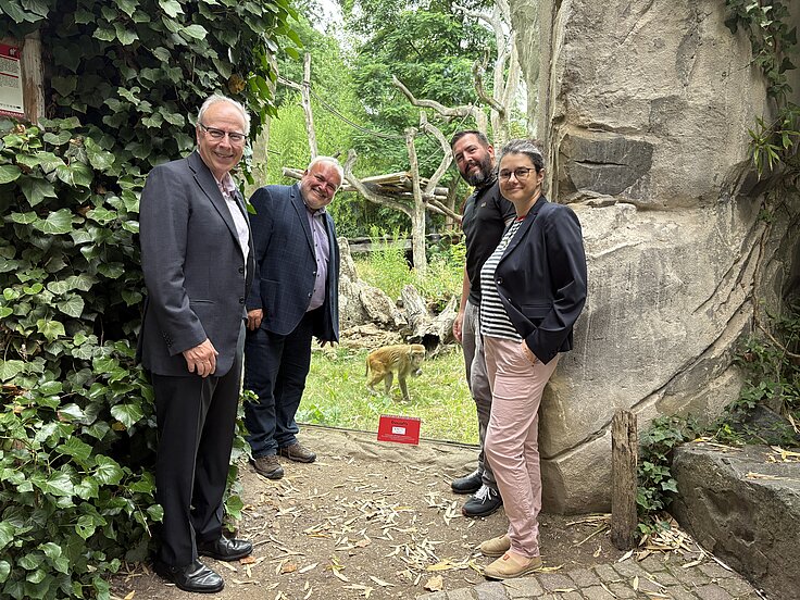 Zoodirektor Jörg Junhold steht mit Vertretern des Uniklinikums vor der Rhesusaffenanlage